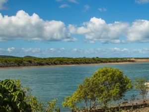 accountants, wealth, investing, financial, mackay